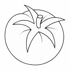 vector illustration of a plant
