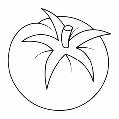vector illustration of a plant