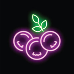 Vibrant neon sign depicting blueberries with leaves, radiating a playful and modern aesthetic
