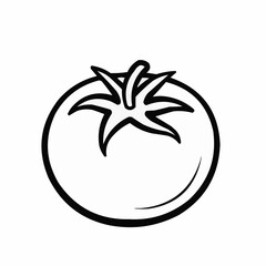 tomato vector illustration