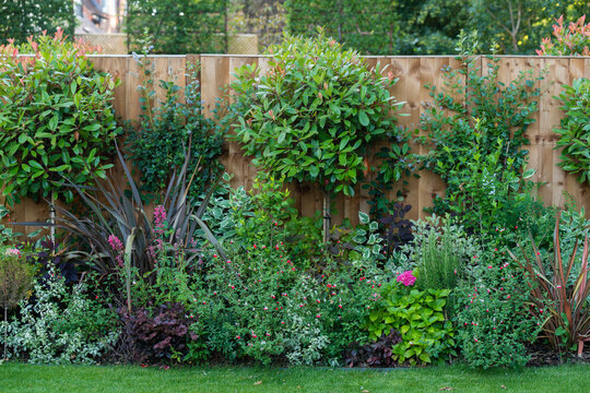 Lush garden landscape design with wooden fence