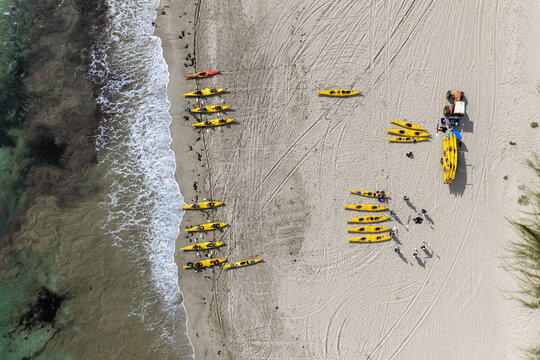 Aerial view of an array of yellow kayaks resting on the sandy shore where the turquoise sea meets the land, 2 Hahei Beach Road, Hahei, Waikato Region, New Zealand.