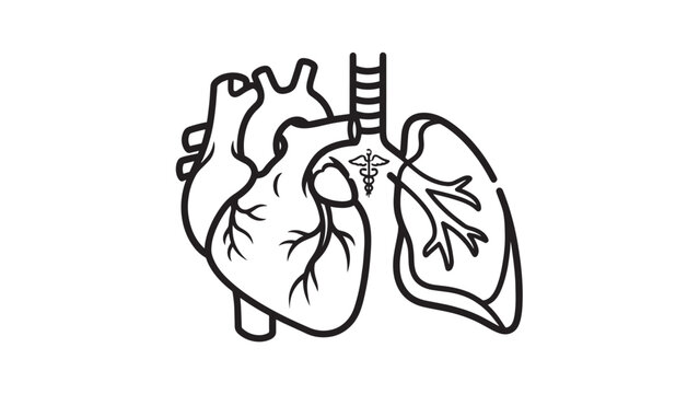 Black and white line drawing of human heart and lungs anatomy.
