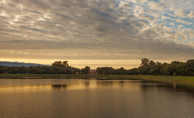 Golden Sunset Calm Lake With Trees Reflections Tranquil Park Landscape