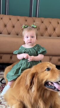 bebe com golden retriever em cen&aacute;rio de natal 