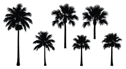 Silhouettes of tropical palm trees against a bright white background