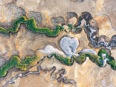 Aerial view of vibrant green vegetation snaking through the arid, cracked earth near the Dead Sea, South District, Israel.