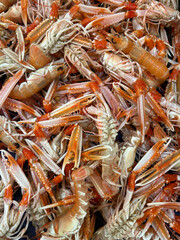 Fruits de mer /&eacute;crevisses