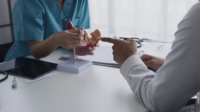 Cardiologist doctor showing anatomical of human heart model to patient, heart disease