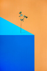Geometric still life with a branch of a plant on a figure