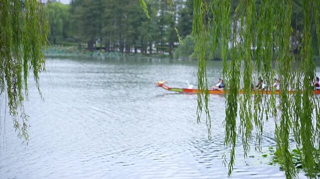 Group of people rowing a traditional chinese dragon boat on a calm lake, seen through the green weeping willow branches during a festival race in slow motion, celebrating culture and teamwork