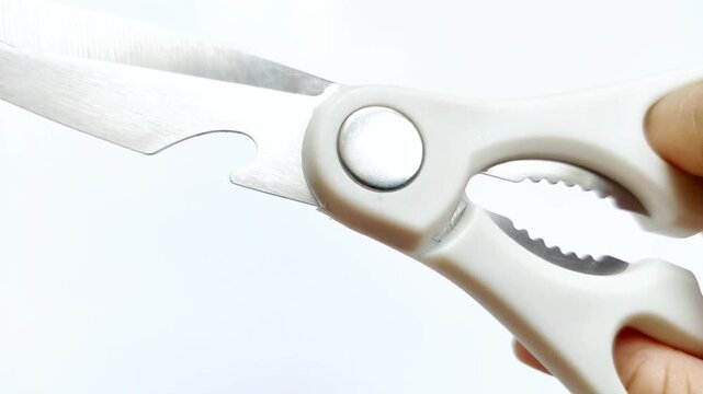 Hand holding showing white kitchen scissors being tested isolated on white background