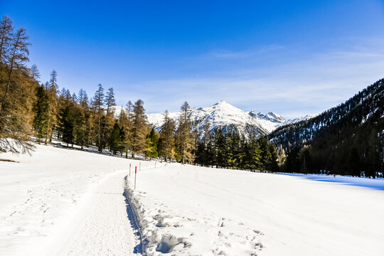 Bever, Val Bever, Winterwanderweg, Winterlandschaft, Wintersport, Holzbank, Oberengadin, Beverin, Fluss, Langlauf, Langlaufloipe, Alpen, Arvenwald, Winter, Graub&uuml;nden, Schweiz