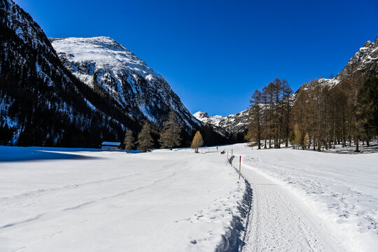 Bever, Val Bever, Winterwanderweg, Winterlandschaft, Wintersport, Holzbank, Oberengadin, Beverin, Fluss, Langlauf, Langlaufloipe, Alpen, Arvenwald, Winter, Graub&uuml;nden, Schweiz