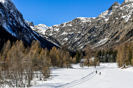 Bever, Val Bever, Winterwanderweg, Winterlandschaft, Wintersport, Holzbank, Oberengadin, Beverin, Fluss, Langlauf, Langlaufloipe, Alpen, Arvenwald, Winter, Graub&uuml;nden, Schweiz