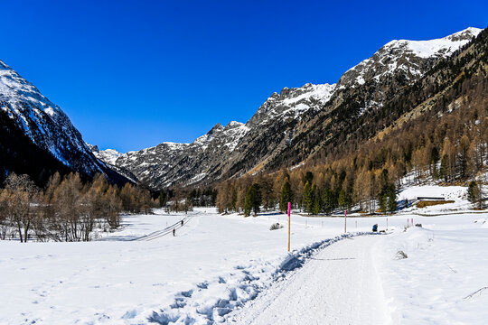 Bever, Val Bever, Winterwanderweg, Winterlandschaft, Wintersport, Holzbank, Oberengadin, Beverin, Fluss, Langlauf, Langlaufloipe, Alpen, Arvenwald, Winter, Graub&uuml;nden, Schweiz