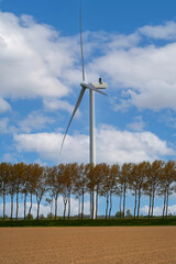 Empty field with trees and wind turbines at the background
