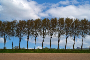 Empty spring field with the trees at the background, Netherlands