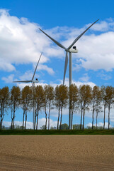 Empty field with trees and wind turbines at the background
