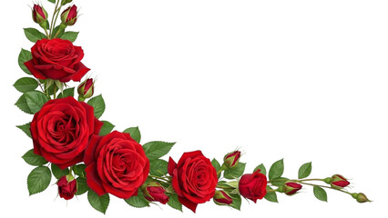 Red roses and green leaves forming a decorative border on black flower floral