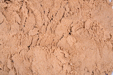 Chocolate whey protein. Supportive nutrition for muscle building