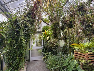 Exotic plants at the botanical garden in Saint Gallen in Switzerland 22.11.2025