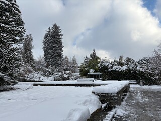 Winter impressions from the botanical garden in Saint Gallen in Switzerland 22.11.2025