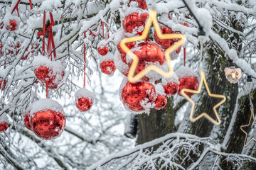 Red Christmas baubles and illuminated stars hang from wintery snow-covered branches. Constance, Baden W&uuml;rttemberg, Germany.