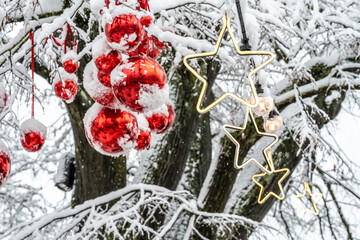 Red Christmas baubles and illuminated stars hang from wintery snow-covered branches. Constance, Baden Württemberg, Germany.