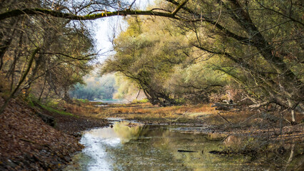 Meg&eacute;rkezett az ősz az erdei foly&oacute;hoz