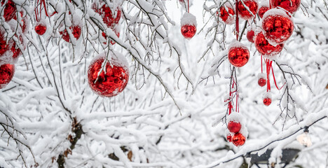 Red Christmas balls hang from wintery snow-covered branches above at the  Christmas market. Constance, Baden W&uuml;rttemberg, Germany.