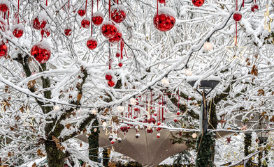 Christmas decoratrion and illuminated stars hang from wintery snow-covered branches above the Christmas market. Constance, Baden W&uuml;rttemberg, Germany.