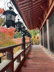 red wine cellar, temple