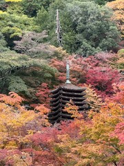 Tanzan-jinja