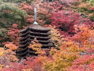 japanese temple in autumn