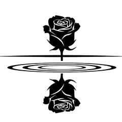 Black rose reflection on rippling water surface