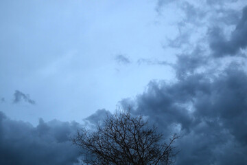 Bare tree branches in the winter. Dramataic sky in the background. Selective focus.
