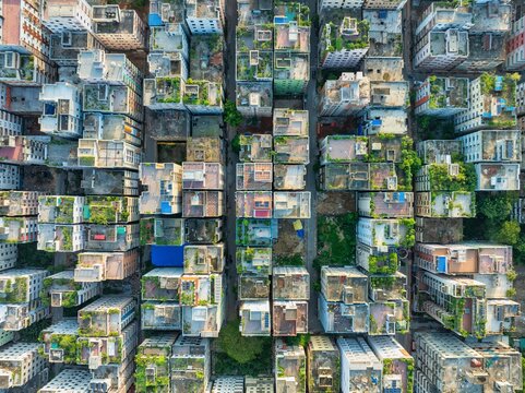 Aerial view of densely packed buildings with rooftops covered in greenery, creating a textured urban landscape from above, Dhaka, Dhaka Division, Bangladesh.