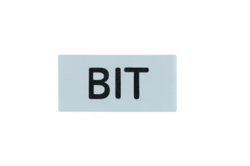 Bit word representing computing data and information unit
