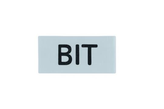 Bit word representing computing data and information unit