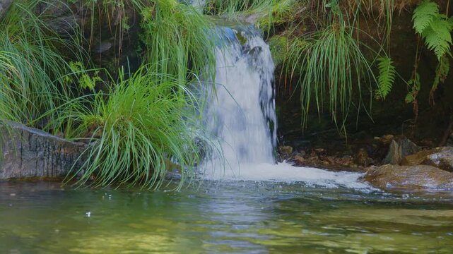 El encanto de un arroyo entre monta&ntilde;as