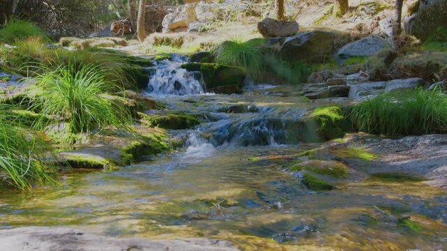 R&iacute;o de monta&ntilde;a con cascada baja y rocas cubiertas de musgo