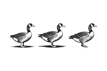 Three vintage style canada geese standing side by side