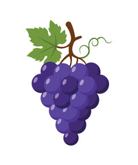 Vibrant Bunch of Purple Grapes with Green Leaf