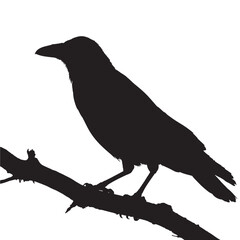 Obraz premium Silhouette of a raven perched on a branch vector illustration of a black bird against a white background perfect for Halloween or gothic themes