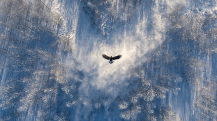 A snowstorm forming a giant eagle with spread wings soaring above frozen ground