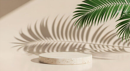 Podium Product Display Beige Stone Palm Shadow Copy Space