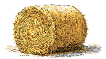 Hay Bale Drawing with Straw Piece - Detailed Sketch Illustrating Farming Concept