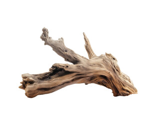 Natural Driftwood Art Piece Showcasing Unique Shapes and Textures, Ideal for Decor or Craft Projects, on Transparent Background