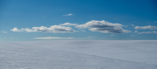 Amidst the silence, a duet of light and shadow depicts the clouds and earth